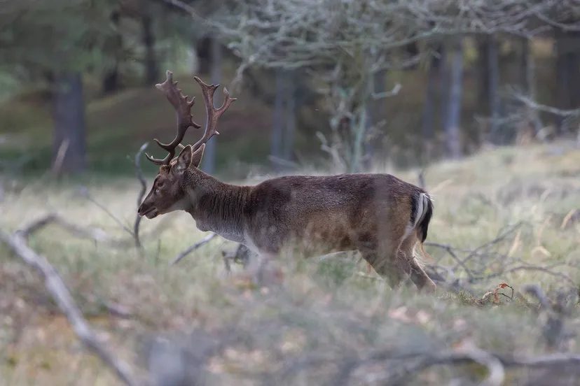 5i5a9609 wim meijer fotografie awd