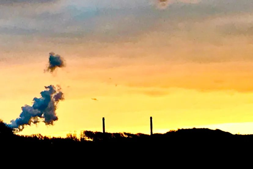 64612383 2351917841711537 6613236255486377984 o