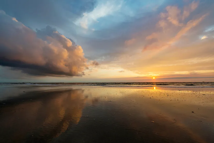 65453 ronald van wijk