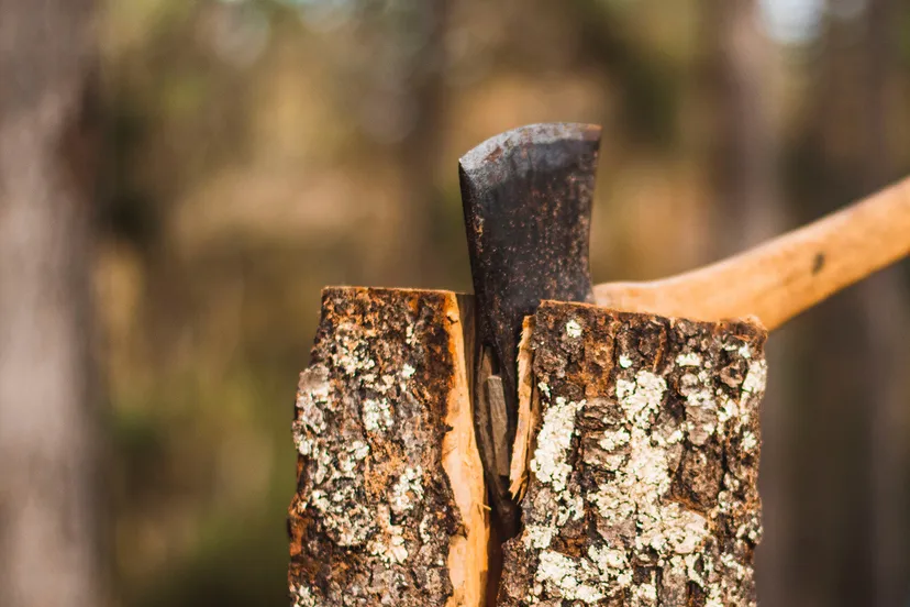 abby savage 9urds43o8c unsplash