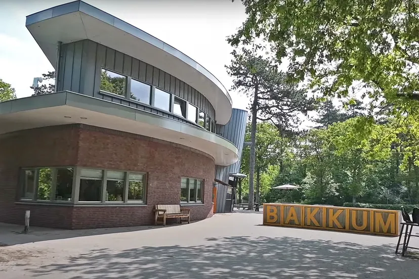 bakkum