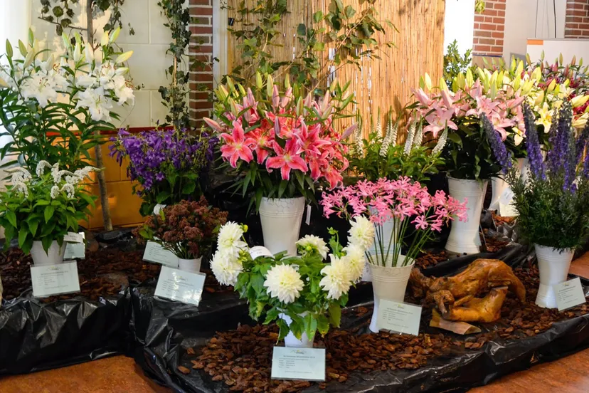 banner evelaer bloemenshow