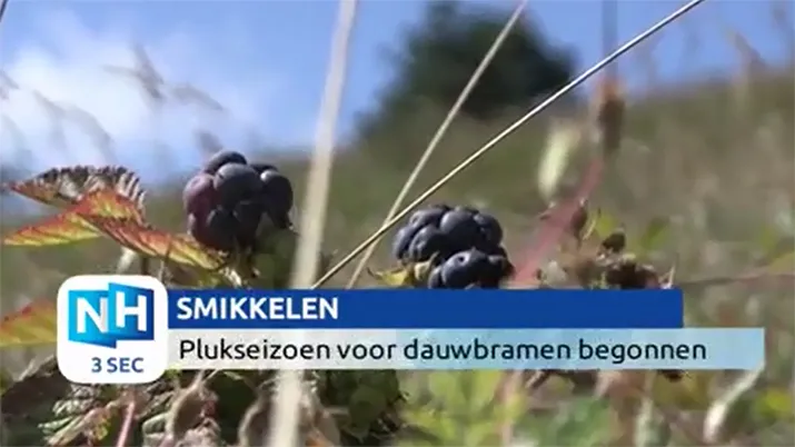 banner nieuwsminuut 02 08