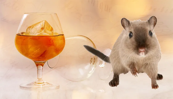 banner rattengif en brandewijn