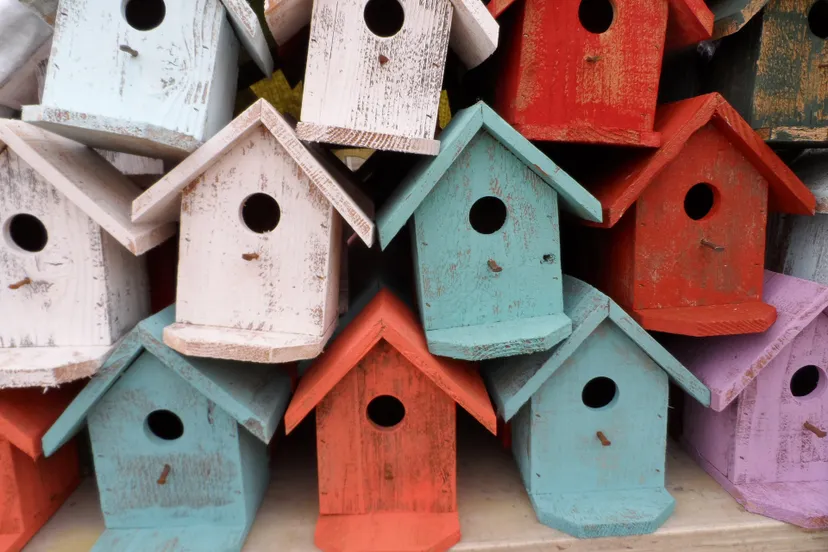 bird houses