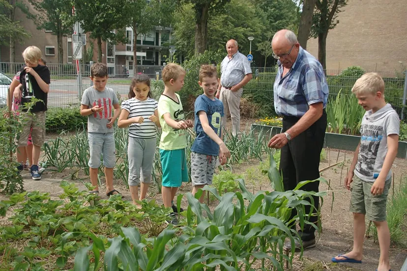 dsc 3735 schooltuinen