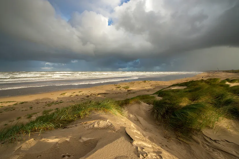 duinen door ronald van wijk