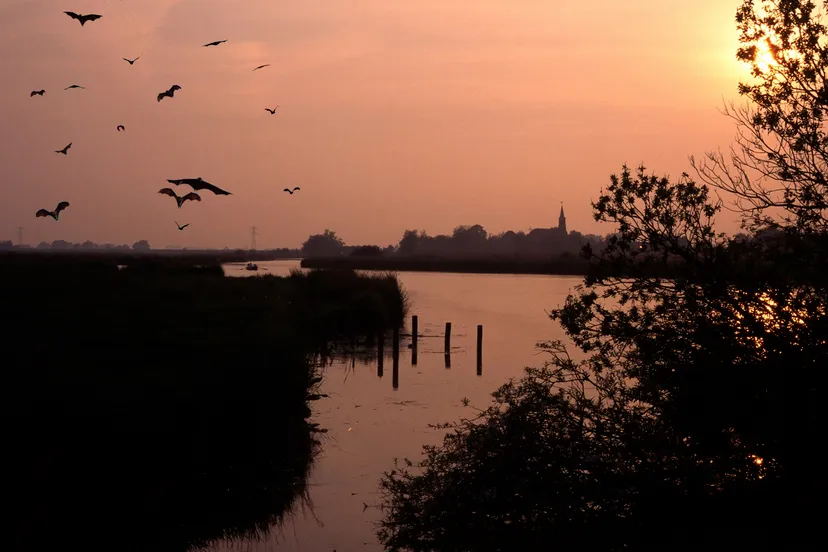 eilandspolder de lei jos teeuwisse 1500 bew