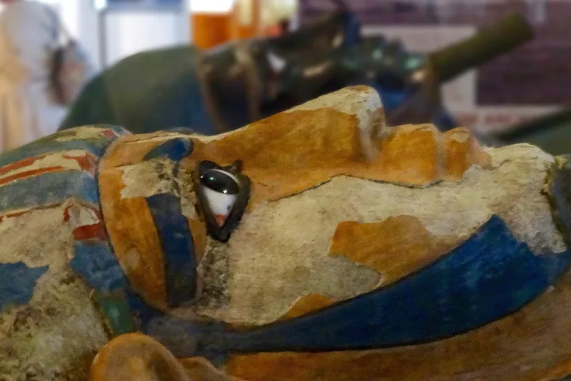 flickr manchester museum