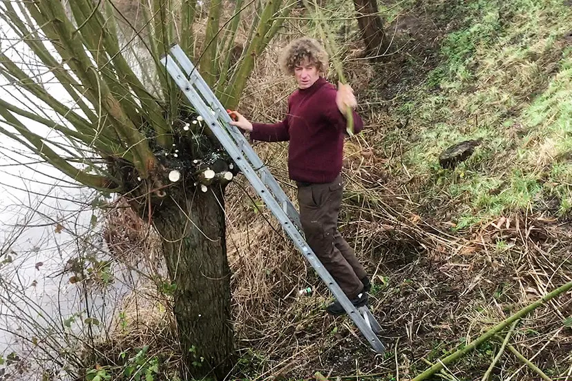 fort zuidwijkermeer1