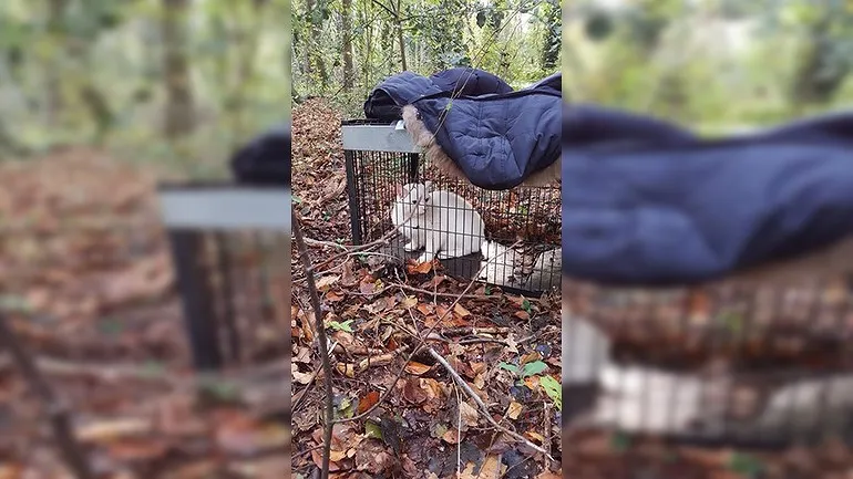 foto dierenambulance kennemerland