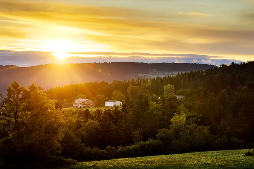 fotolicht van nando harmsen