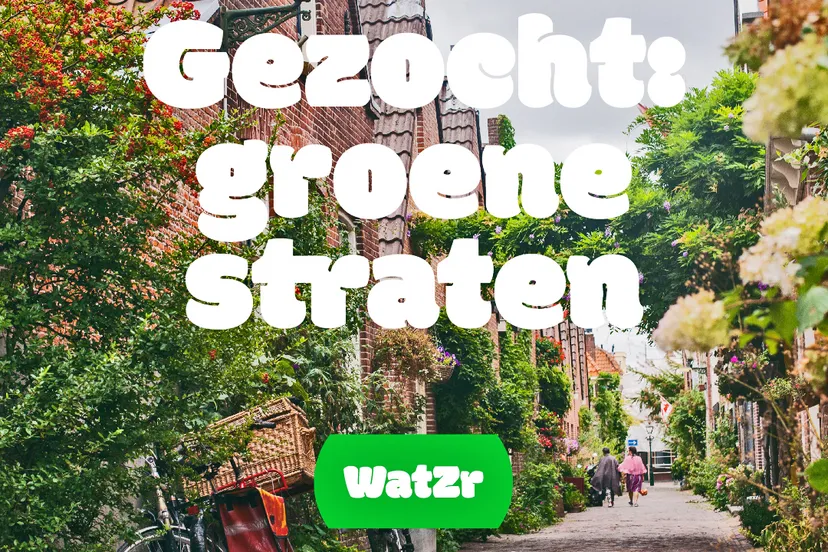 groenestraatgezocht