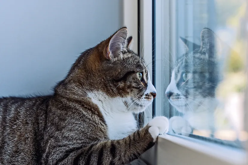 hans ott ofkdc7meq78 unsplash kopieren