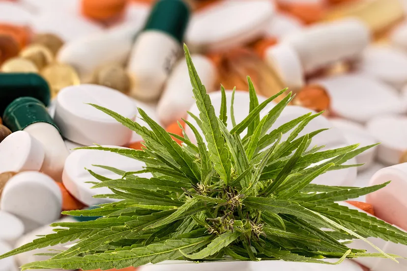 headache 1540220 1920 pixabay