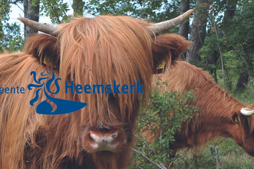 heemskerk1718cover bewerkt