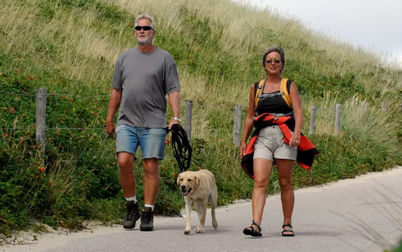 hondenbezitters campagne natuurgebied provincie noord holland 915x518