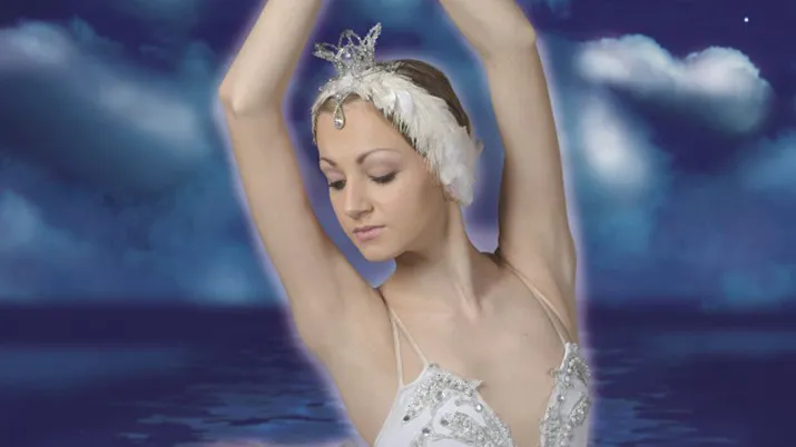 img6768 35 zwanenmeer