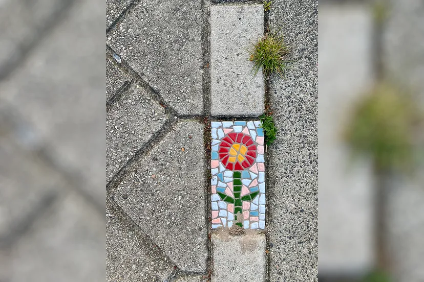 jacco tuijn verrassend heemskerk 05b kopieren landscape