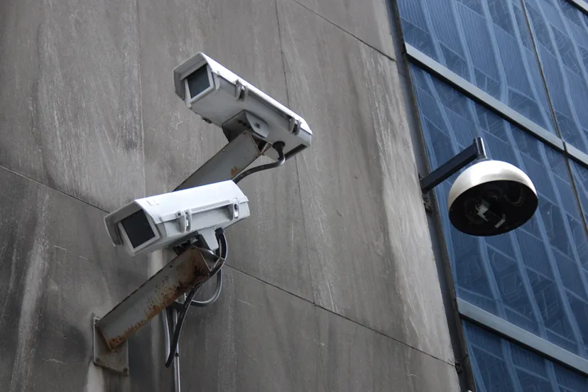 jonathan mcintosh flickr