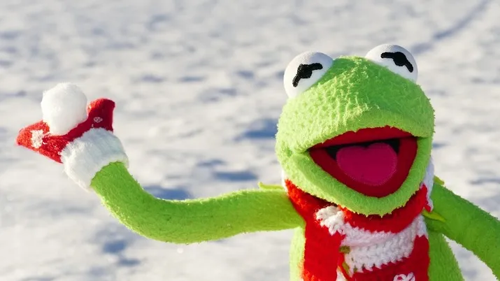 kermit 601710 960 720 pixabay