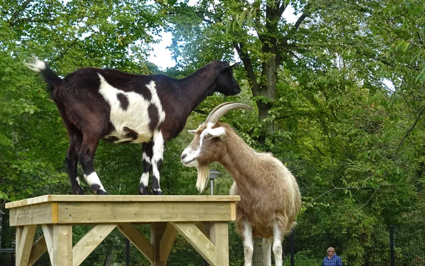 klimtoestel 3 bewerkt 915x518