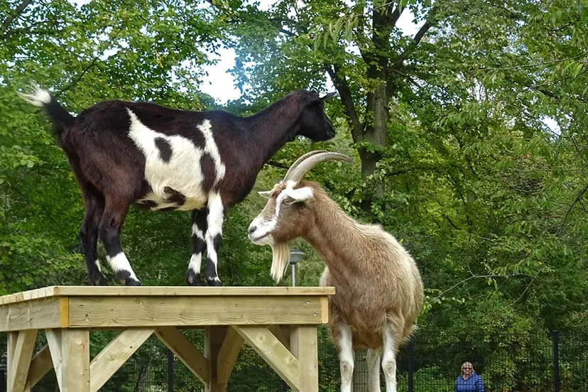 klimtoestel 3 bewerkt