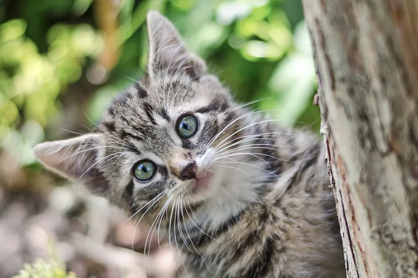 koen eijkelenboom qpjl dxqrd8 unsplash