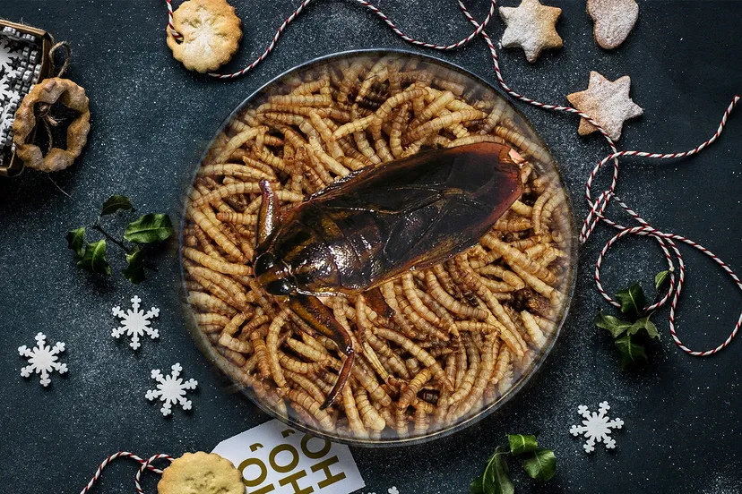 monika grabkowska yuaecsae4lk unsplash pixabay maxpixel