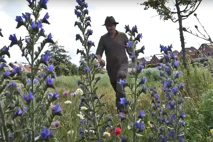 natuur in heemskerk rtv heemskerk