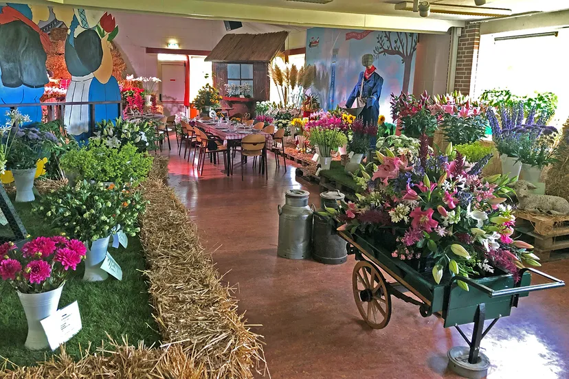 overzicht tentoonstelling