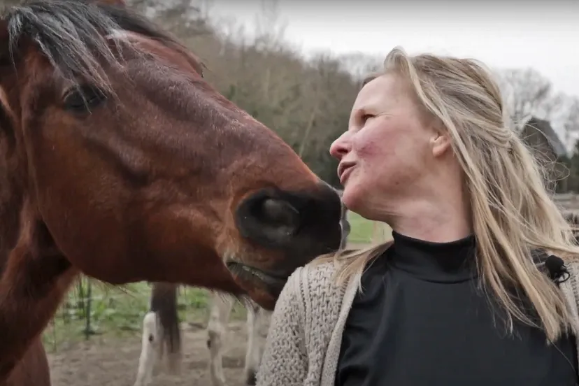paardenfluisteraar ijmond nieuws