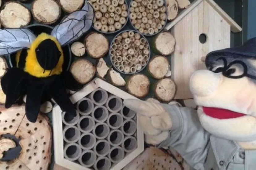 persbericht nme bijvriendelijke theatervoorstelling van poppekus bij t koetshuijs