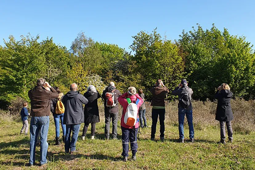 persbericht nme veel vogels weinig kilometers tijdens vogelexcursie