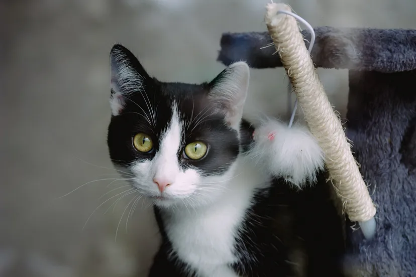 photo 1522526469673 5b73aed892ff unsplash