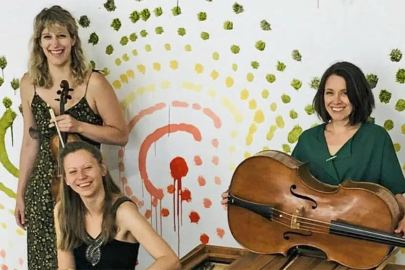 piu corde beeld bij persbericht