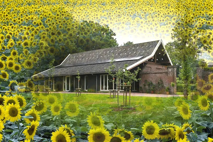 pixabay wim meijer fotografie