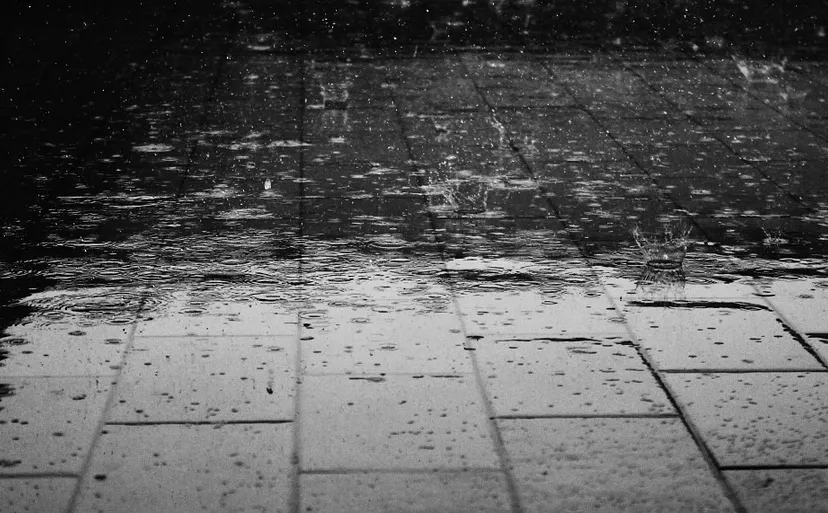 rain 122691 960 720