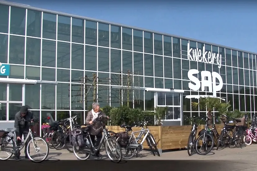 sap kwekerij