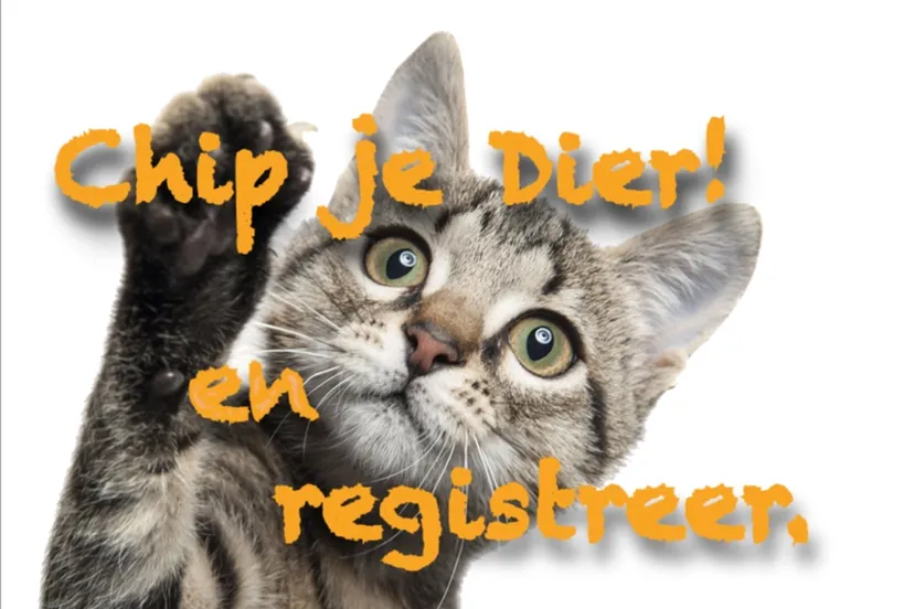 scherm afbeelding 2023 09 27 om 110902 d467e190 kopieren