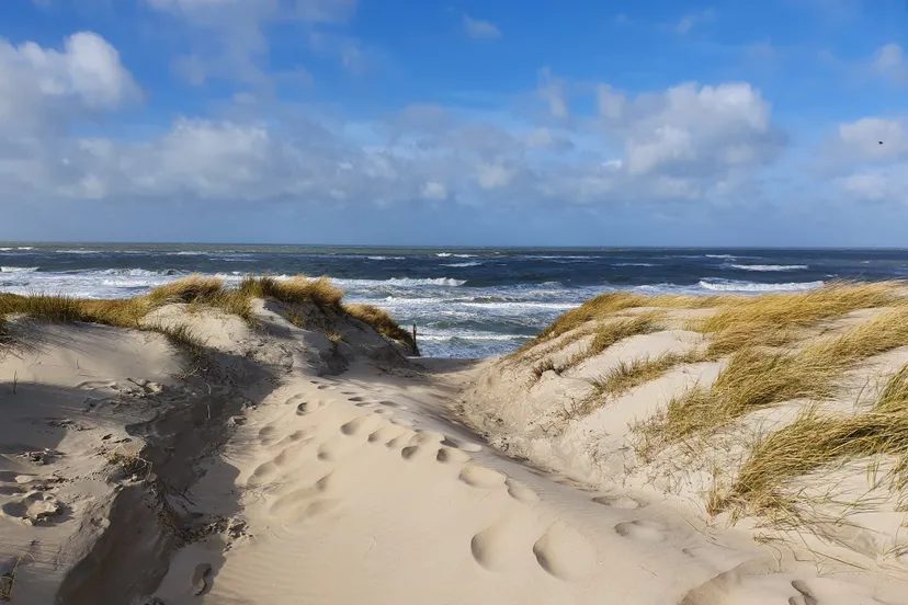 strand texel wim meijer fotografie