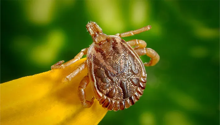 teken banner 715x408