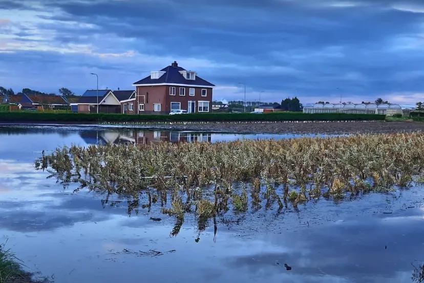 tuinderijen heemskerk
