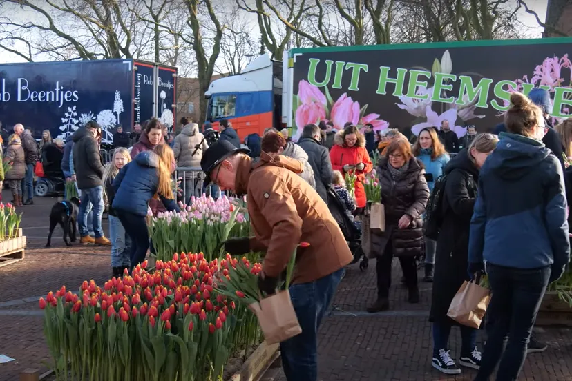 tulpenfestival heemskerk