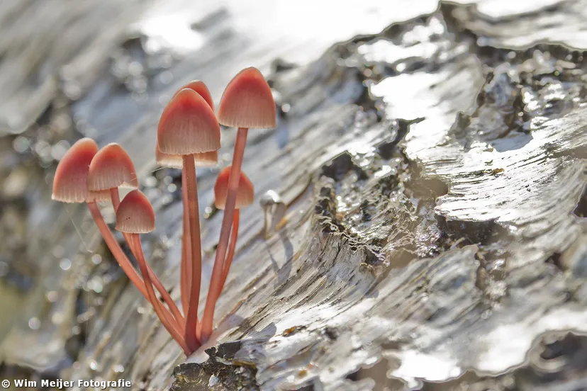 tumblr murtic9fmn1svvyvco1 1280