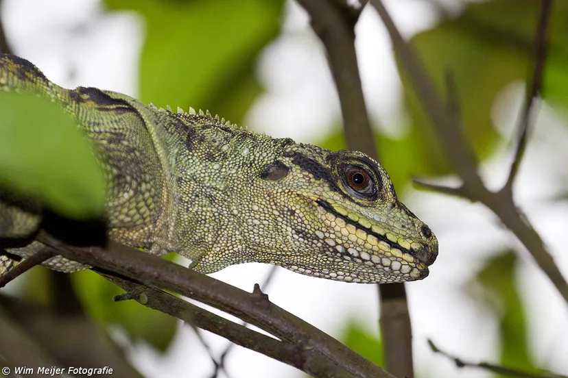 tumblr mw0b01sxkc1svvyvco1 1280