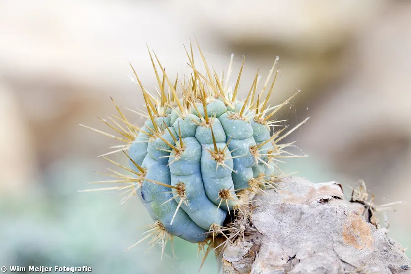 tumblr mw59hljnpg1svvyvco3 1280