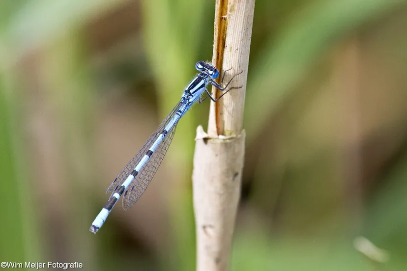 tumblr nqpns3argd1svvyvco1 12801