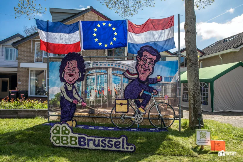 uitgelicht 1