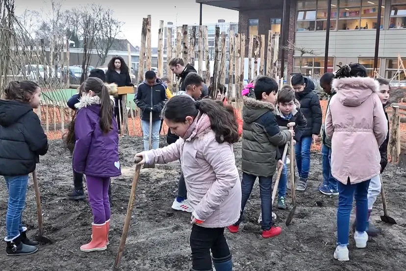 vlinder omroep heemskerk